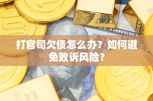 北京打官司欠债怎么办？如何避免败诉风险？