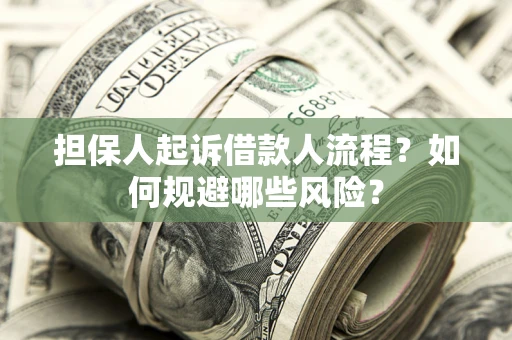 北京担保人起诉借款人流程？如何规避哪些风险？